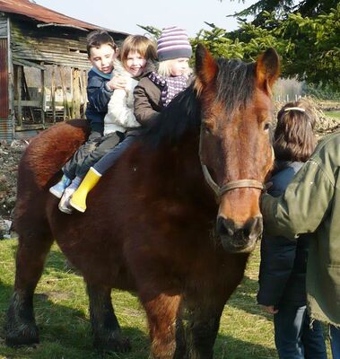 les enfants sur le cheval de trait