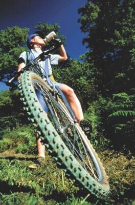 Carolo Cycles - location de vélos