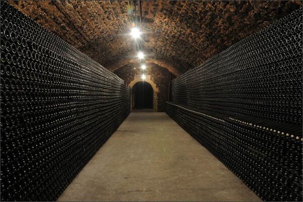Champagne Gardet - Cave