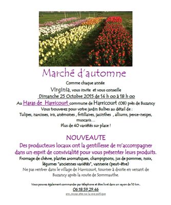 marché d'automne