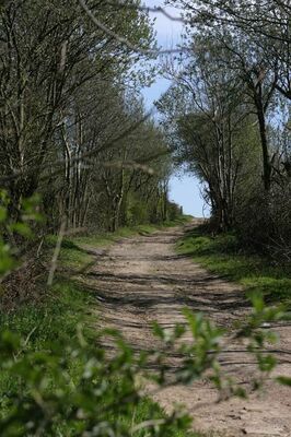 Sur les traces du charbon
