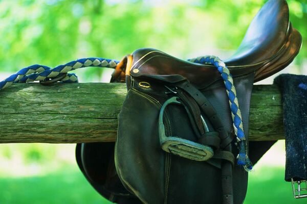 equitation