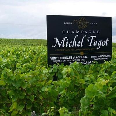 Champagne Michel Fagot