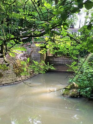 Le Moulin du Buisson
