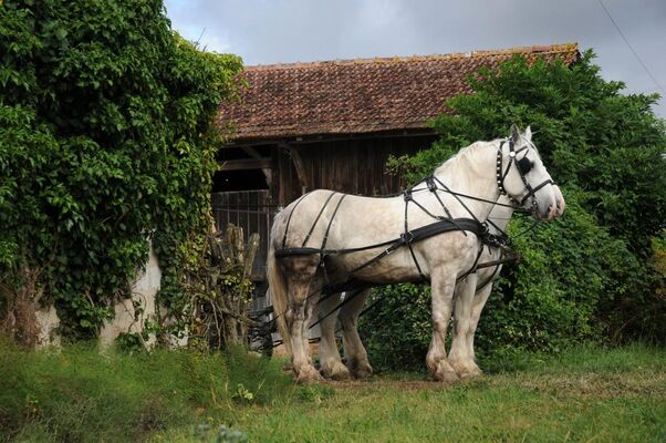 Le Domaine des Lacs