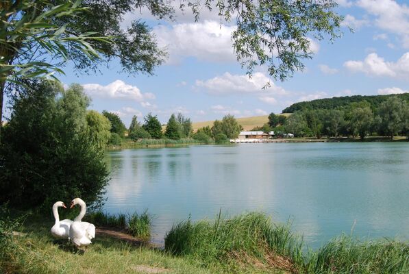 La Basse Cour
