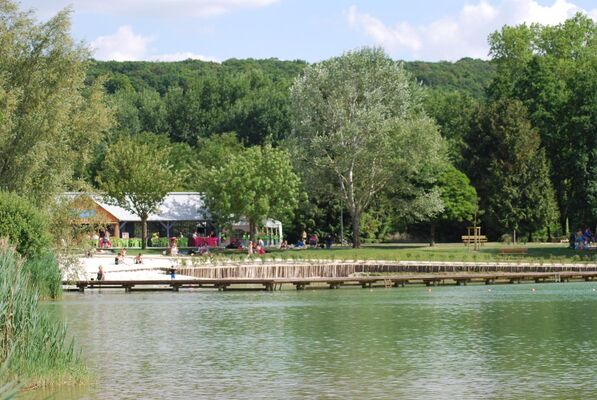 La Basse Cour