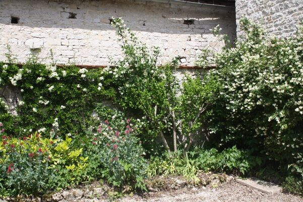 La Petite Maison d'été