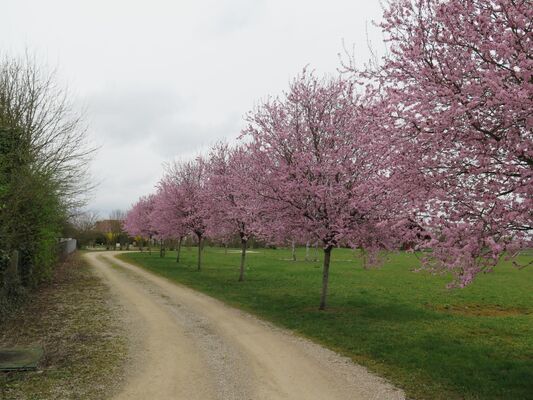 Le Chalet dans la Prairie