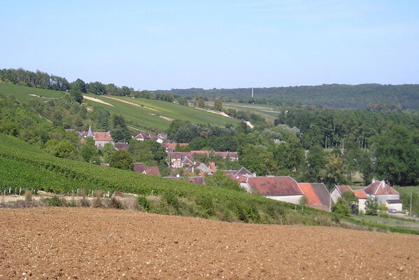 Le Sourcier