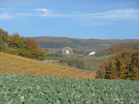 Le Sourcier