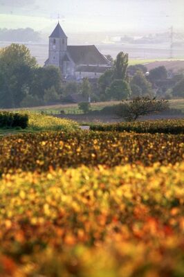 La Miellerie