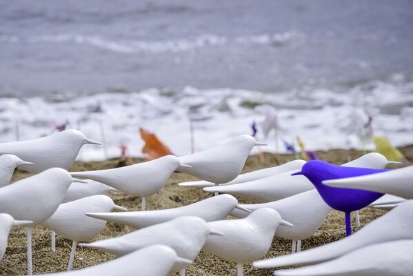 Les Mouettes