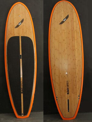 full-black-wings-sup-9-5-recto-578