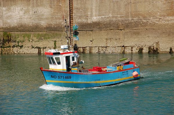 iles-vendeennes-2-17209