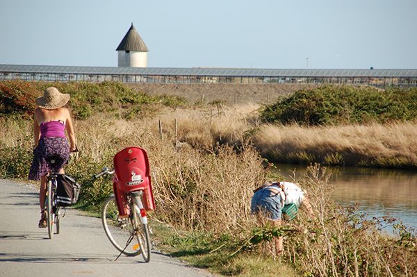 noirmoutier-08-09-116-17211