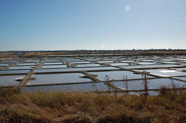 noirmoutier-08-09-250-17212