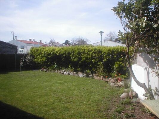 jardin-1-non-modifie-707