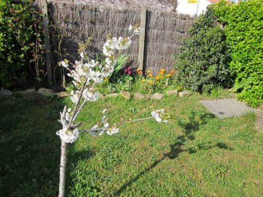 jardin-1-nv-format-701
