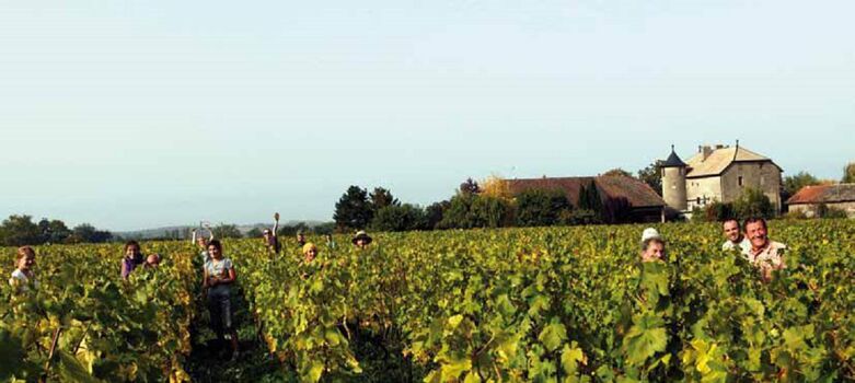 Les Vendanges à la main