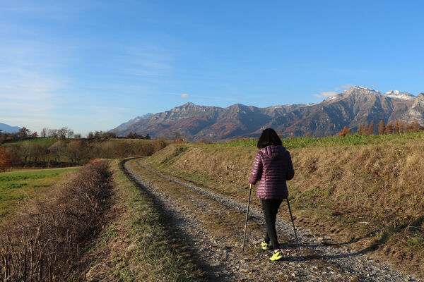 Marche nordique