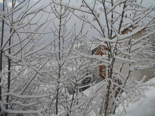 Le Jardin des Ecrins