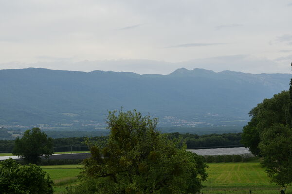 vue vergers
