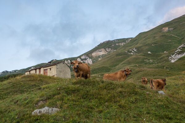 val-cenis-alpage-pierre-longue