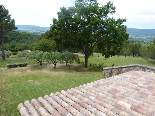 Le Petit Lub