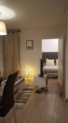 Chaleureux Appartement salon et chambre