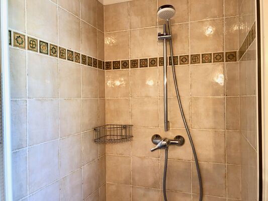 Mélèze douche