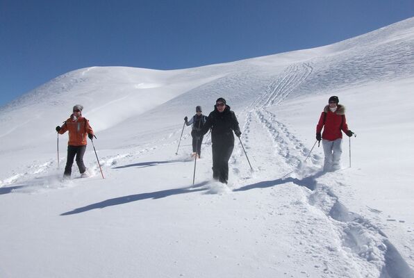 Raquettes à neige