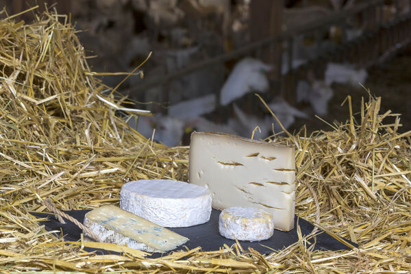 Ferme de Bois noir