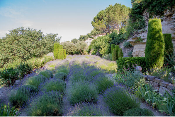 Jardin de la Louve