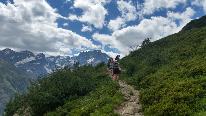 Les chemins de Bruno