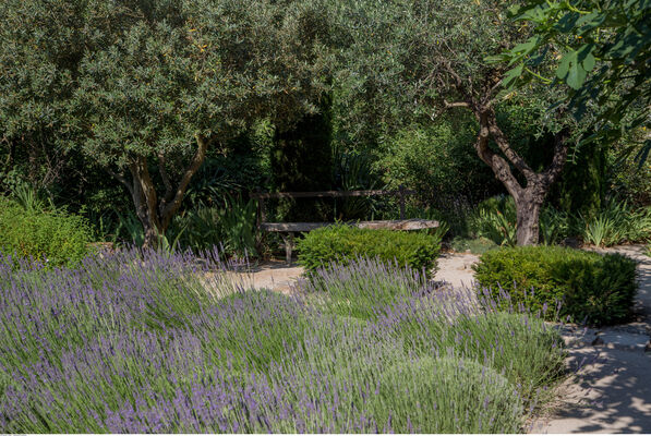 Jardin de la Louve
