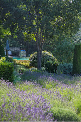 Jardin de la Louve