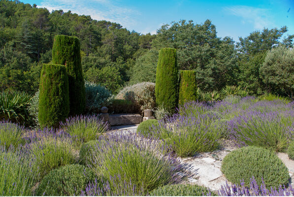 Jardin de la Louve