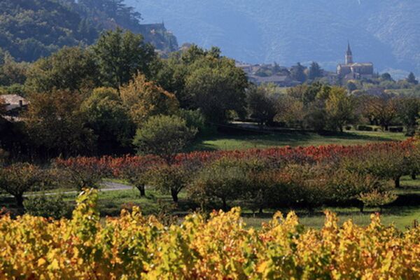 Le Marronnier