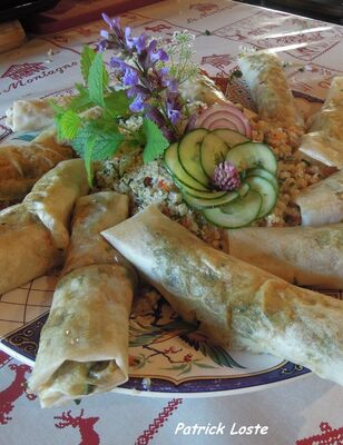 cueillette et cuisine des plantes sauvages