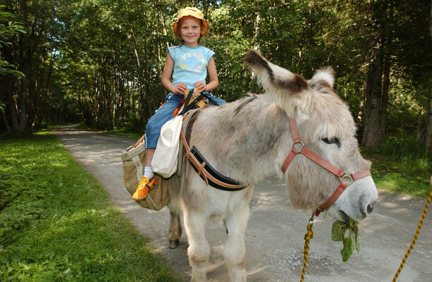imgcarousel-name-mising