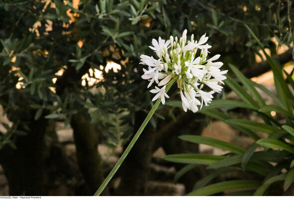 Les jardins du Château de Bourgane