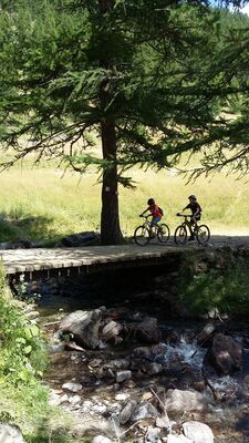 Localvelo
