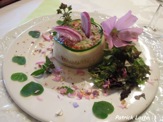 cueillette et cuisine des plantes sauvages