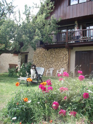 Chalet La Forestière