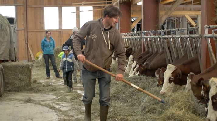 Ferme Les Sabotdance