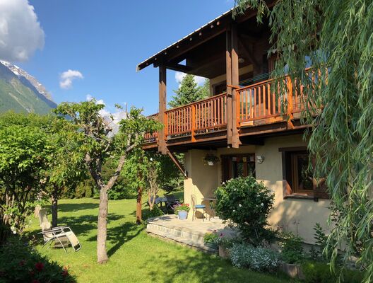 Acacia extérieur