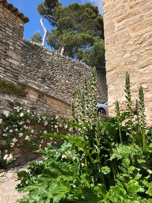 Le Jardinet