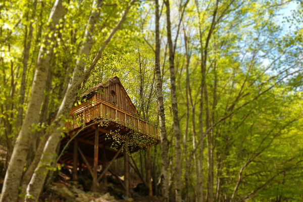Les cabanes enchantées