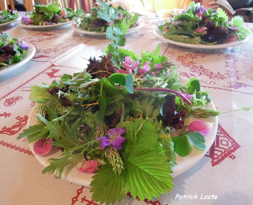 Cueillette et cuisine des plantes sauvages